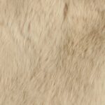 Gymp - Jas Polla Beige - Afbeelding 2